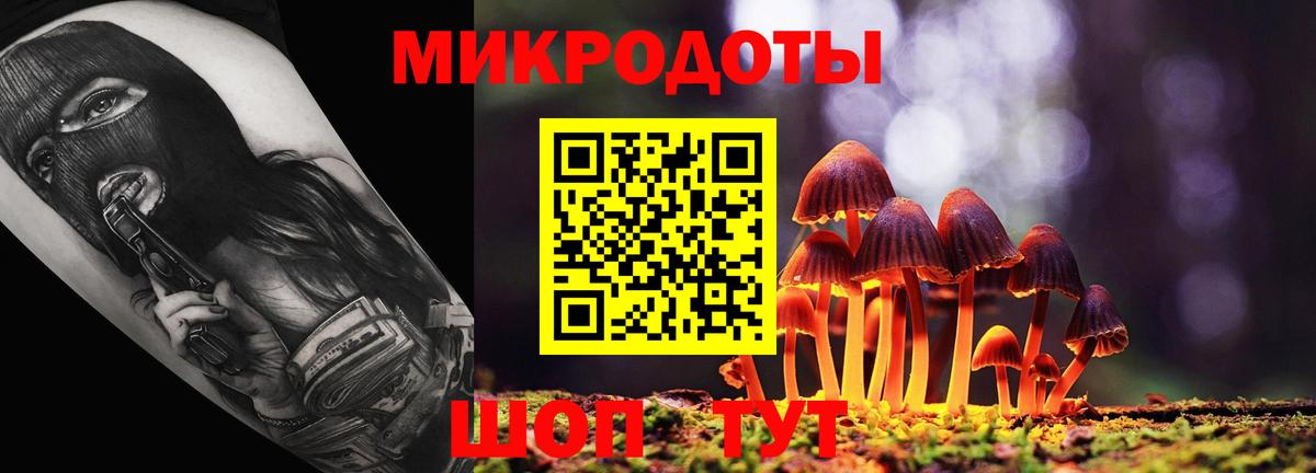 Волжск  купить закладку  Псилоцибиновые грибы прущие грибы  Вход с VPN  Псилоцибиновые грибы Cubensis 